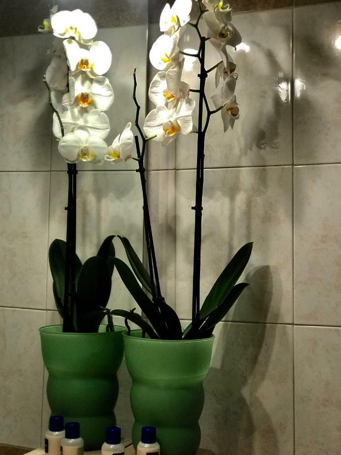 Cute Flat - Best Price - Wi Fi - Ac - Tv Florencia Exterior foto